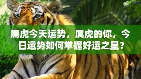 属虎今日运势揭秘,如何把握好运之星?