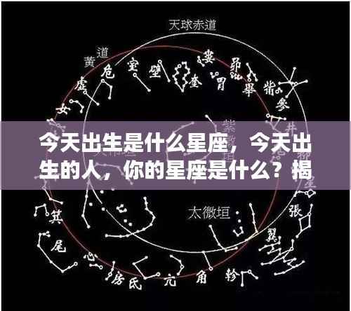 揭秘今日星座运势,掌握今日出生者的星座特征与未来走向
