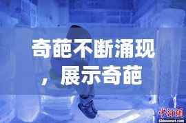 百鸟归巢 第3页