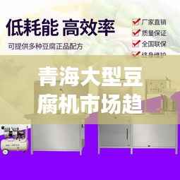 青海大型豆腐机市场趋势深度解读