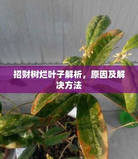 慌慌张张 第4页