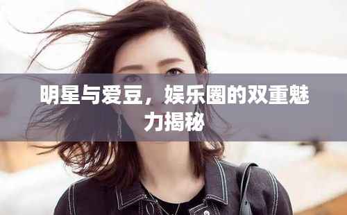 天罗地网 第3页