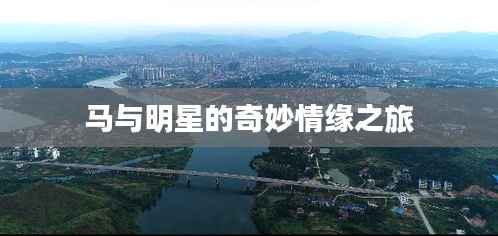 荆钗布裙 第3页