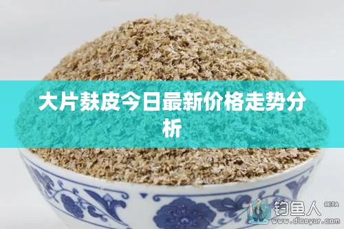 大片麸皮今日最新价格走势分析
