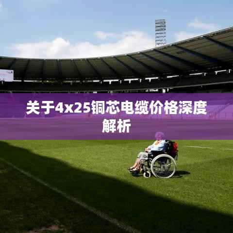 贵冠履轻头足 第4页