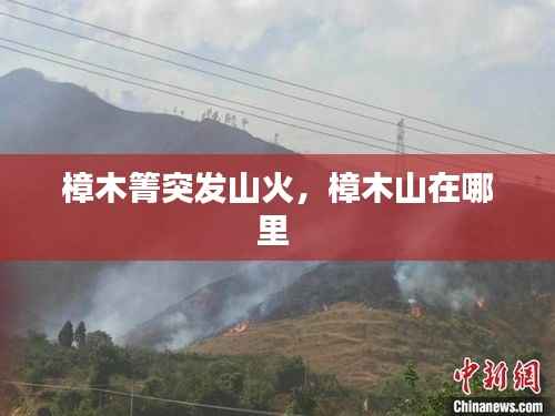 樟木箐突发山火,樟木山在哪里