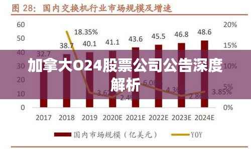 加拿大O24股票公司公告深度解析