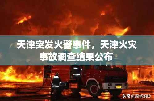 如鸟兽散 第3页