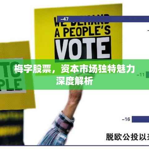 质而不俚 第3页