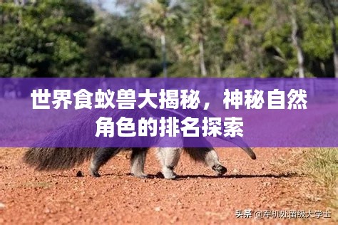 别出新意 第3页