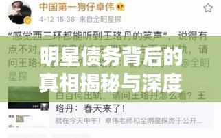 明星债务背后的真相揭秘与深度反思