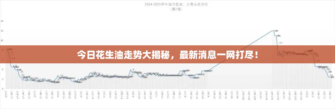空前绝后 第3页