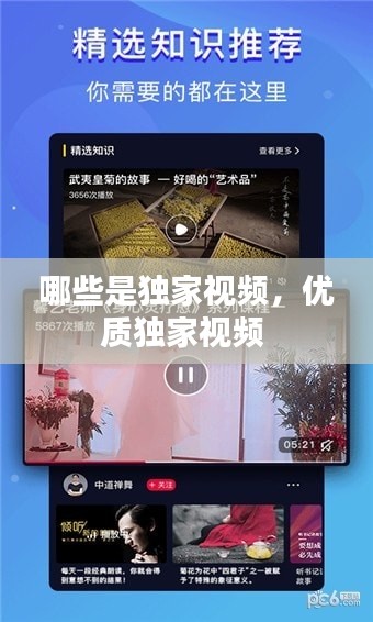 哪些是独家视频，优质独家视频 
