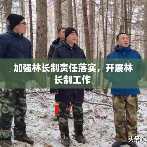 加强林长制责任落实,开展林长制工作