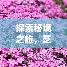 天生万物，唯人为贵 第3页