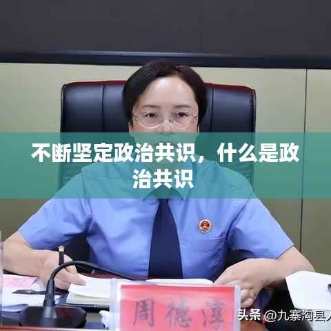 不断坚定政治共识，什么是政治共识 