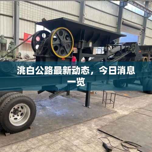 展翅高飞 第3页