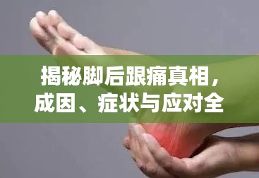 风驰电掣 第2页