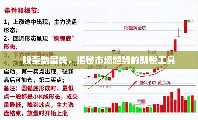 灰飞湮灭 第3页