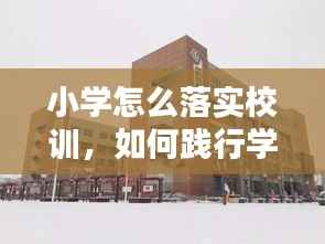 小学怎么落实校训,如何践行学校校训