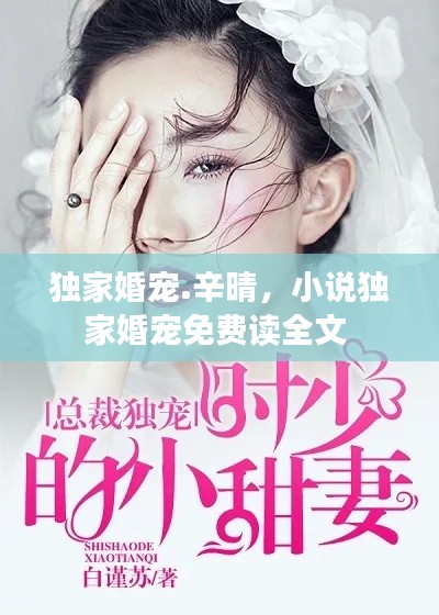 独家婚宠.辛晴,小说独家婚宠免费读全文