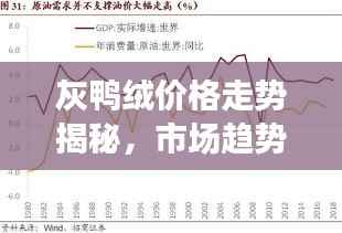 灰鸭绒价格走势揭秘，市场趋势、影响因素与未来展望分析