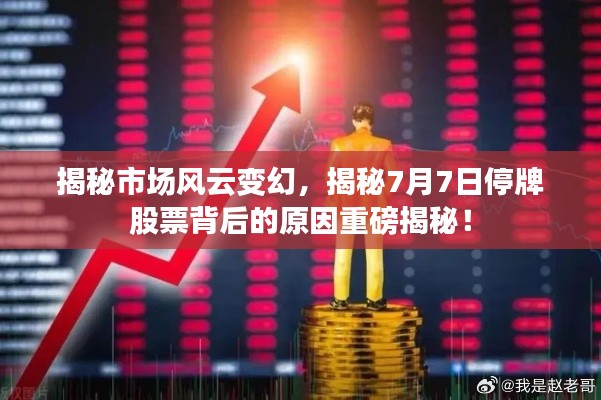 揭秘市场风云变幻，揭秘7月7日停牌股票背后的原因重磅揭秘！