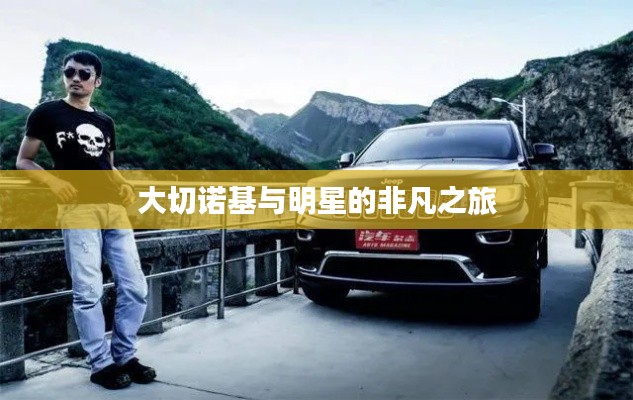 金石为开 第2页