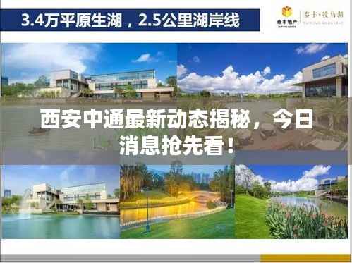 国色天姿 第2页