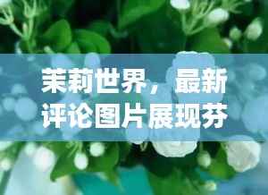 只争朝夕 第3页