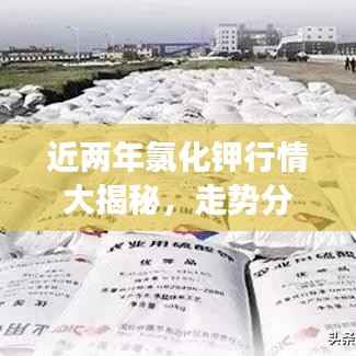 近两年氯化钾行情大揭秘，走势分析与市场洞察